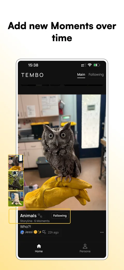 App Store screenshot: “Add new Moments over time”, over a Moment of an owl in the Animals Storyline.